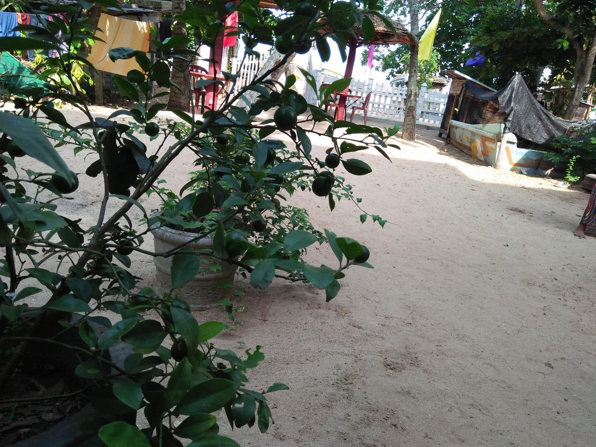 Parei Beach Inn Tangalle Εξωτερικό φωτογραφία